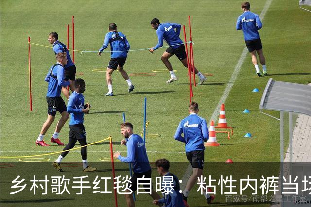 乡村歌手红毯自曝：粘性内裤当场掉了，我直接脱下来给了公关