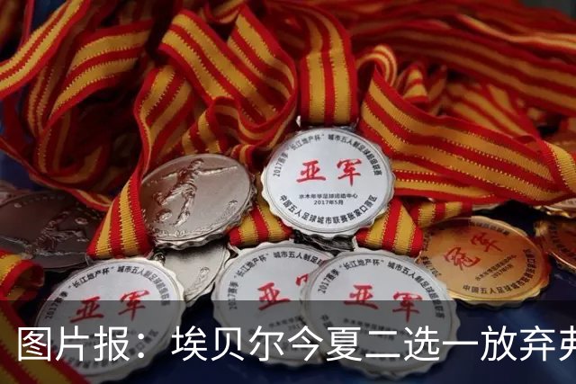 图片报：埃贝尔今夏二选一放弃弗里克