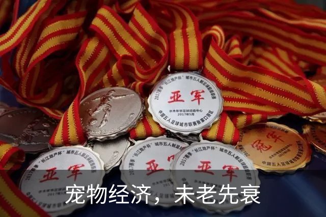 宠物经济，未老先衰