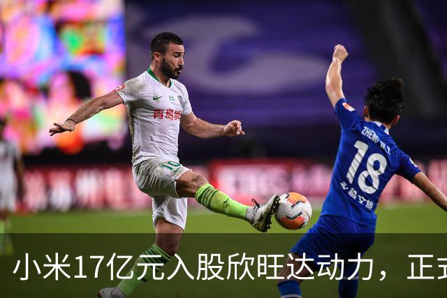 小米17亿元入股欣旺达动力，正式成为第三大股东