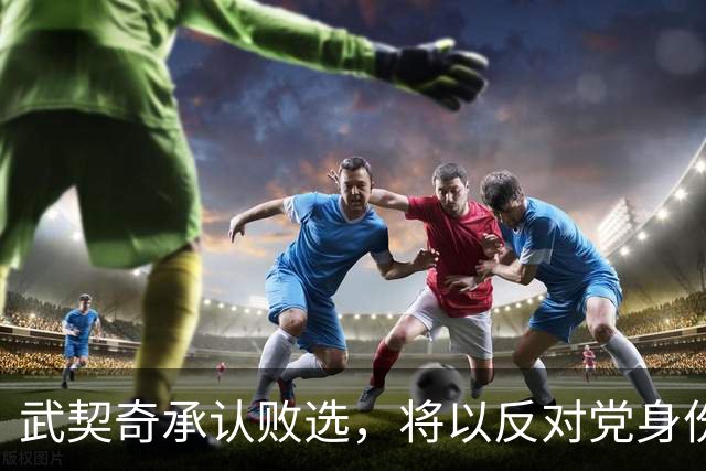武契奇承认败选，将以反对党身份开展政治活动