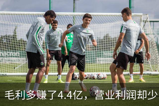 毛利多赚了4.4亿，营业利润却少了9亿：特斯拉的钱去哪了？