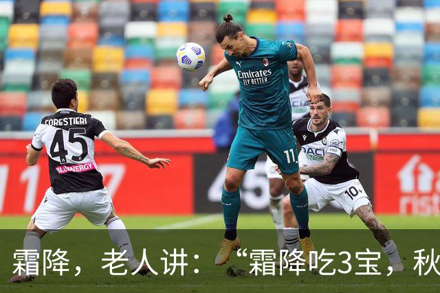霜降，老人讲：“霜降吃3宝，秋冬无烦恼”，这3宝指的都是啥