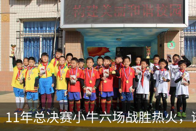 11年总决赛小牛六场战胜热火，诺维茨基场均26+10，热火三巨头数据如何？