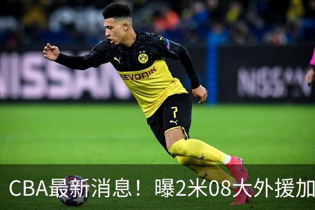 CBA最新消息！曝2米08大外援加盟上海男篮，王浩然第一阶段报销